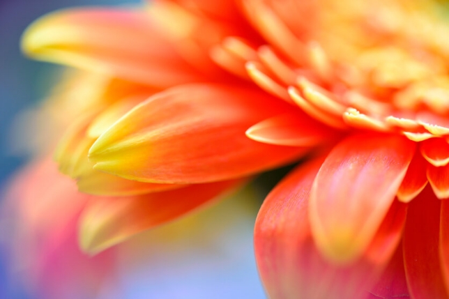 鏡頭使用: 型號 F017<br>焦距: 90mm<br>曝光: F5.6 1/3 秒