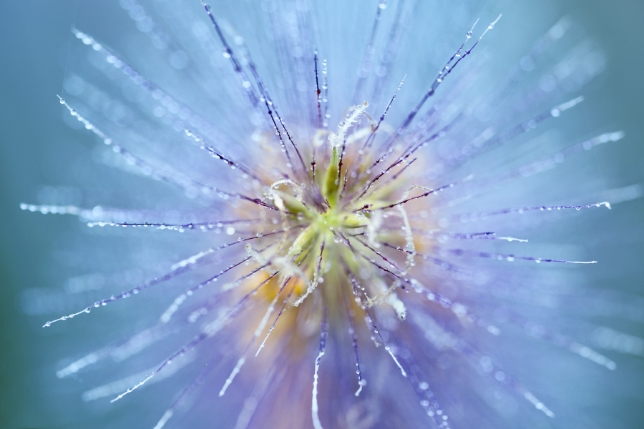 鏡頭使用: 型號 F017<br>焦距: 90mm<br>曝光: F4 1/125 秒