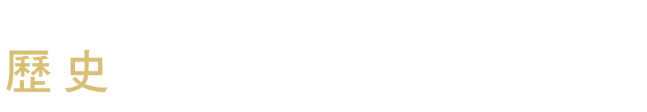 TAMRON的挑戰歷史