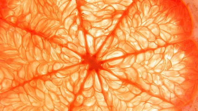 出色的近距離拍攝