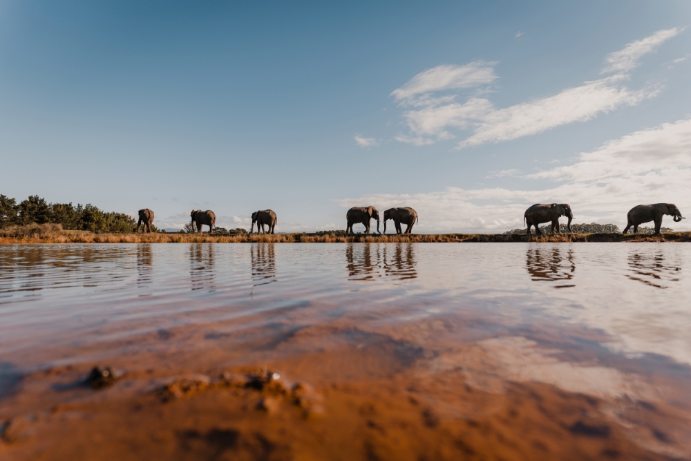 TAMRON廣角變焦鏡頭拍攝的照片