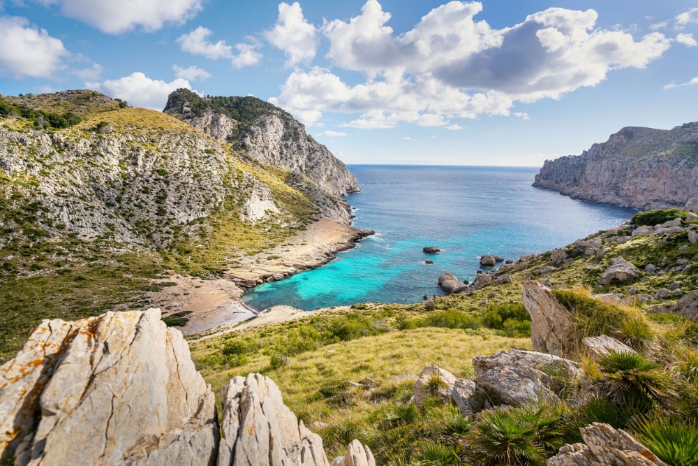 TAMRON廣角變焦鏡頭拍攝的照片