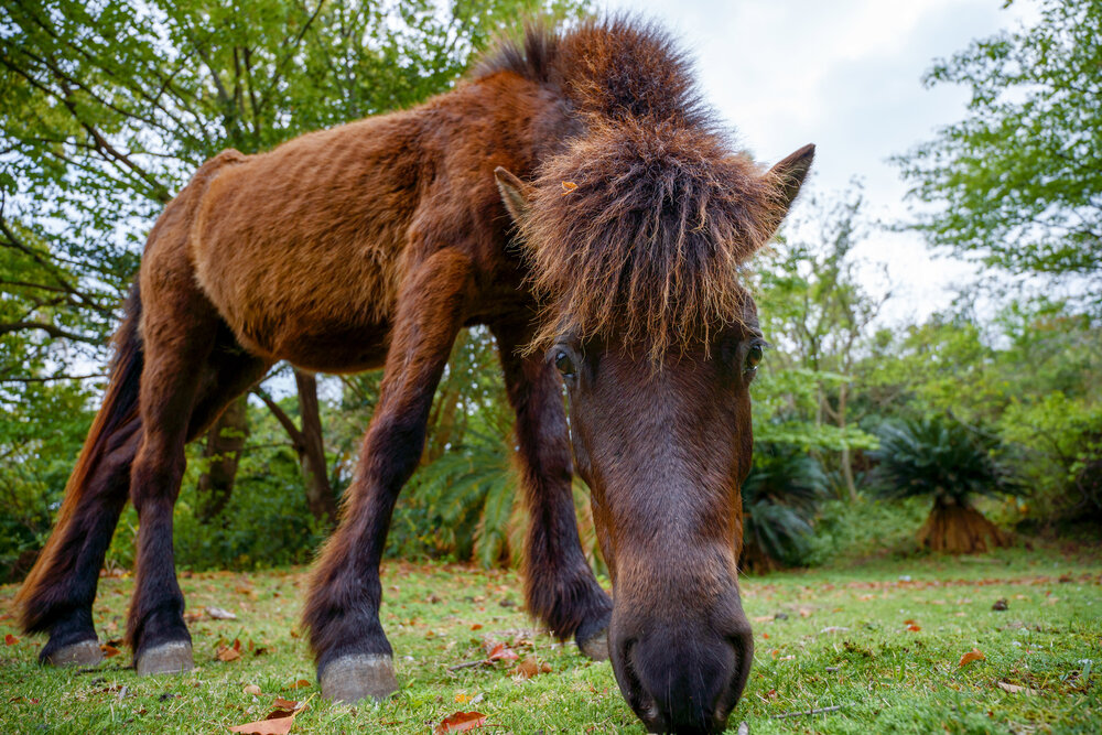 TAMRON廣角變焦鏡頭拍攝的照片
