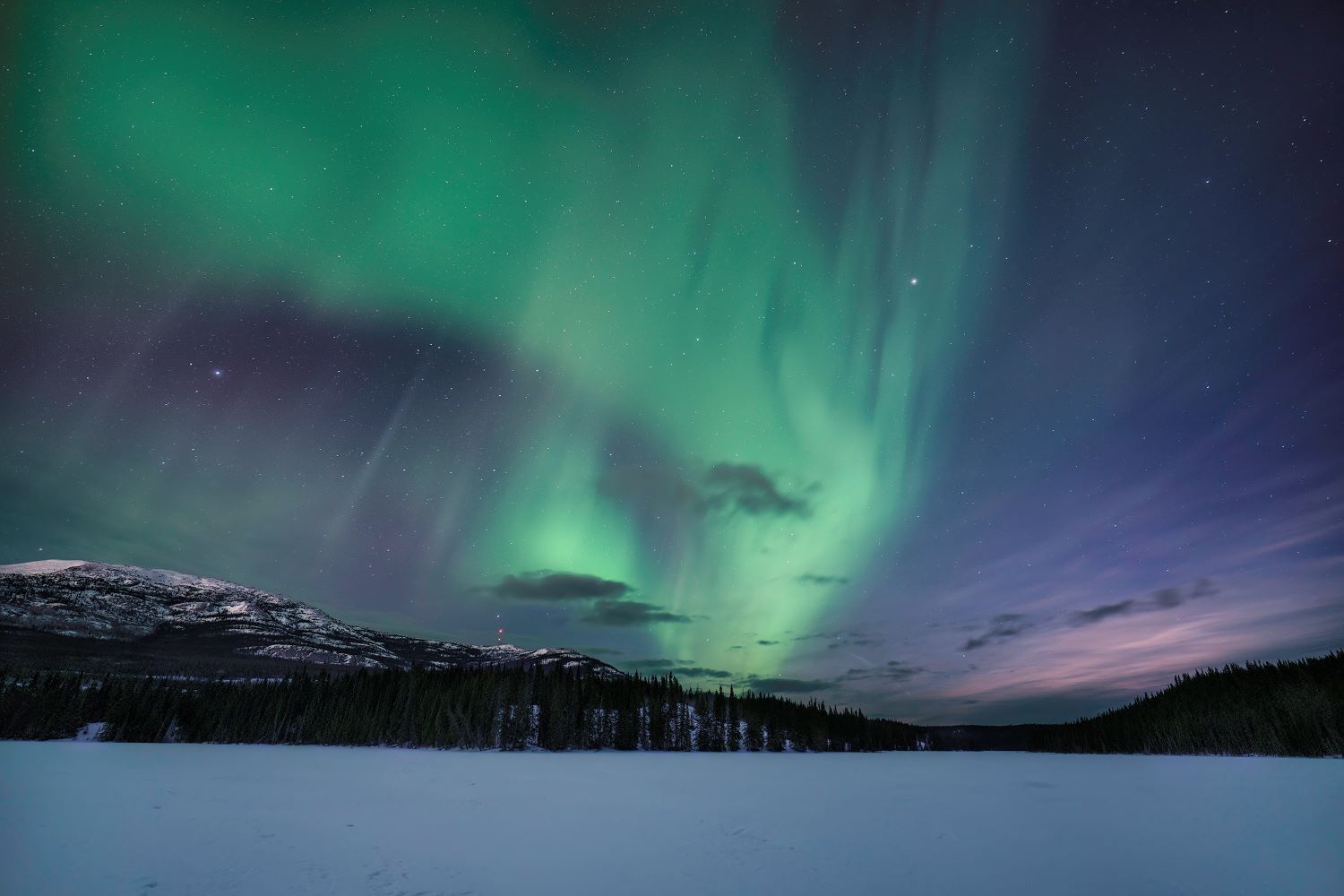 TAMRON廣角變焦鏡頭拍攝的照片