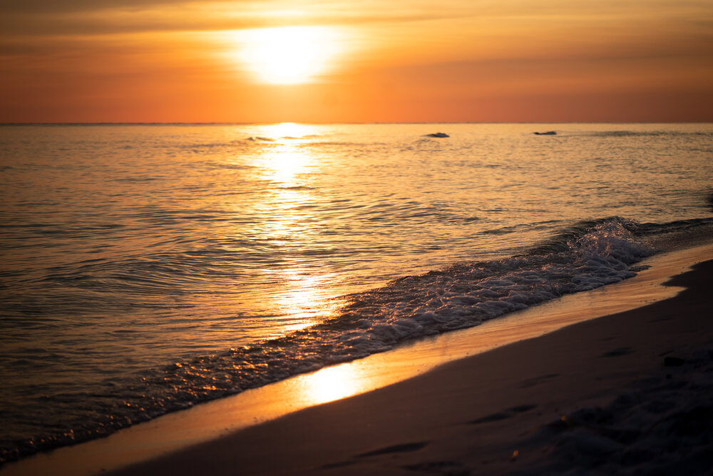 TAMRON望遠變焦鏡頭拍攝的照片