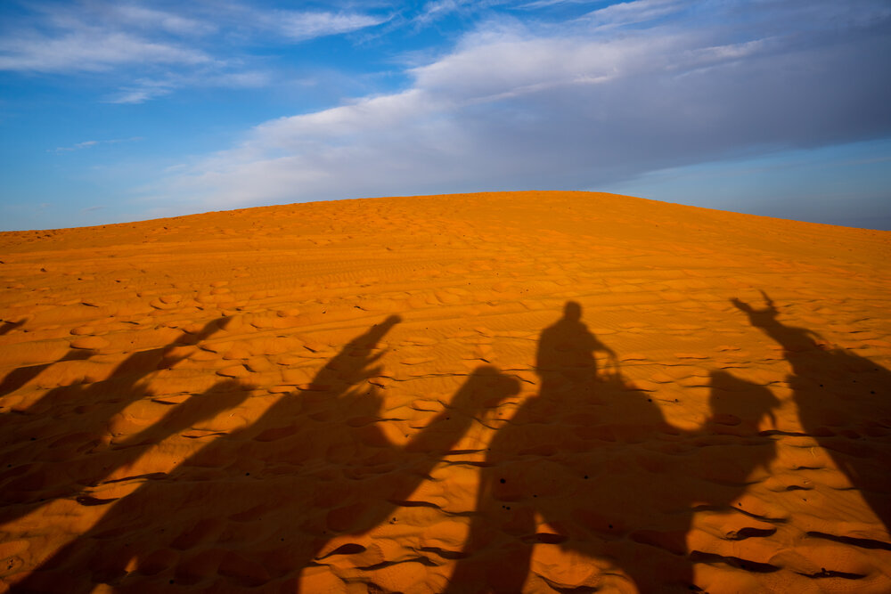 TAMRON全能變焦鏡頭拍攝的照片