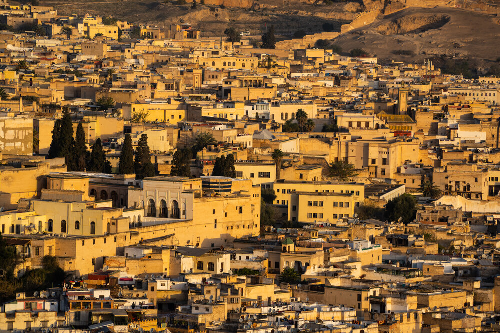 TAMRON全能變焦鏡頭拍攝的照片