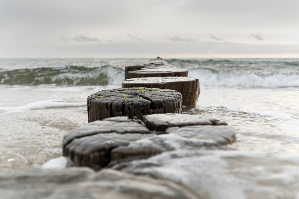 TAMRON全能變焦鏡頭拍攝的照片