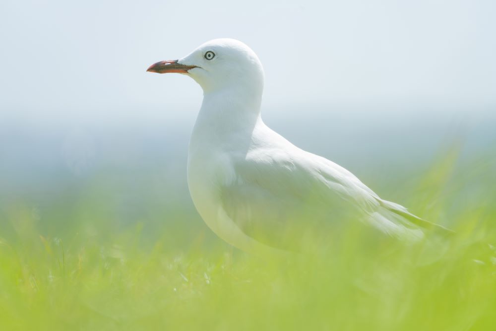 TAMRON全能變焦鏡頭拍攝的照片