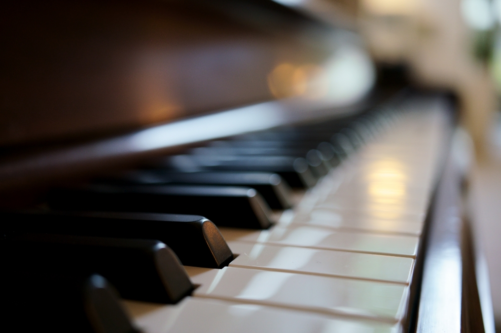 TAMRON定焦鏡頭拍攝的照片