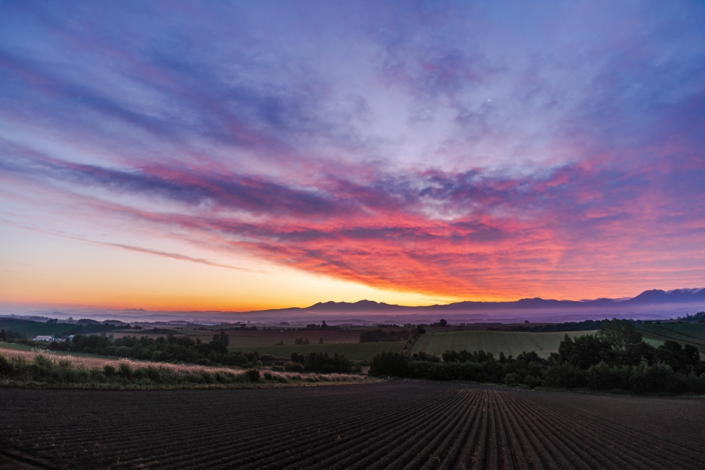 TAMRON定焦鏡頭拍攝的照片