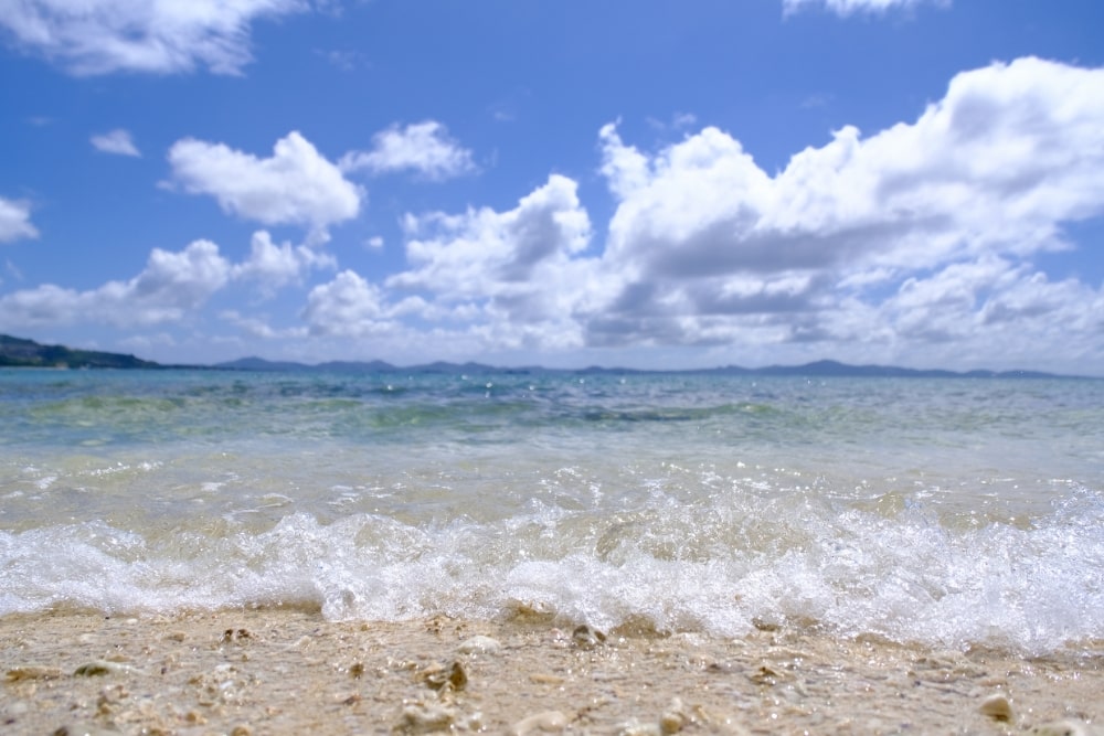 TAMRON 18-300mm F3.5-6.3 (Model B061)　Focal length：18mm　Exposure：F3.5　Shutter speed：1/3000sec　ISO：160