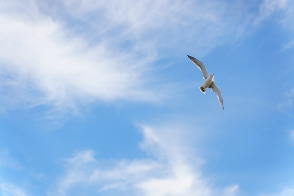 TAMRON 28-75mm F2.8 G2 (Model A063)　Focal length：75mm　Exposure：F2.8　Shutter speed：1/5000sec　ISO：200