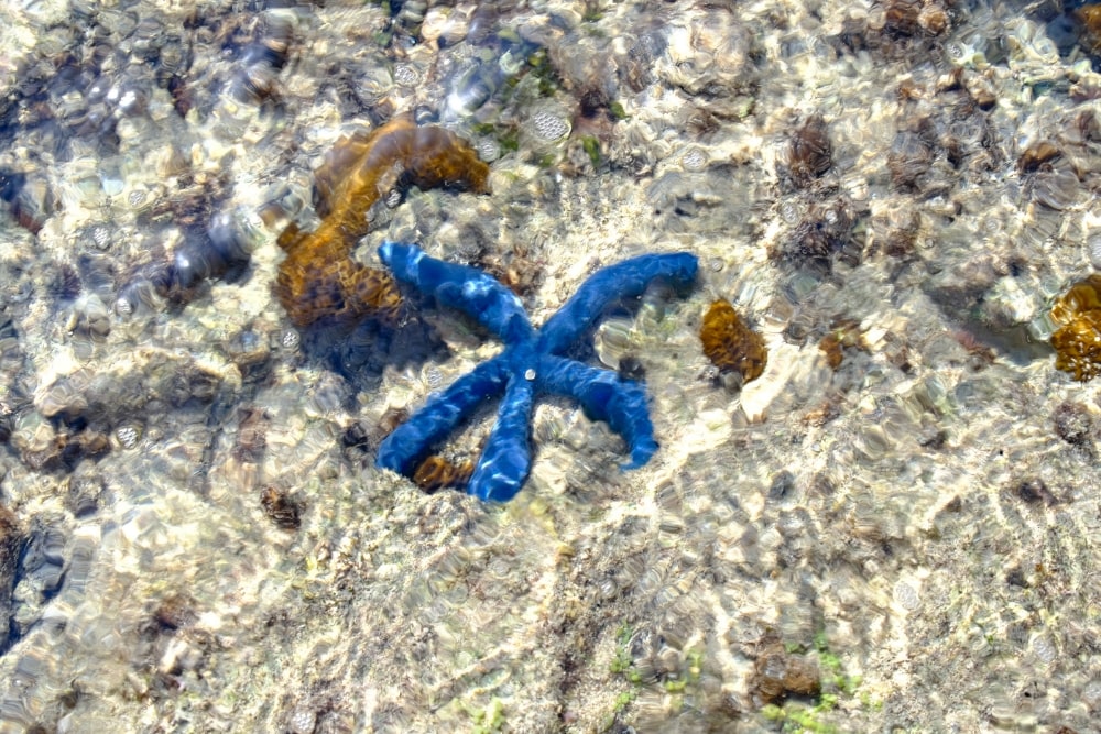 TAMRON 18-300mm F3.5-6.3 (Model B061)　Focal length：32.1mm　Exposure：F8　Shutter speed：1/105sec　ISO：160