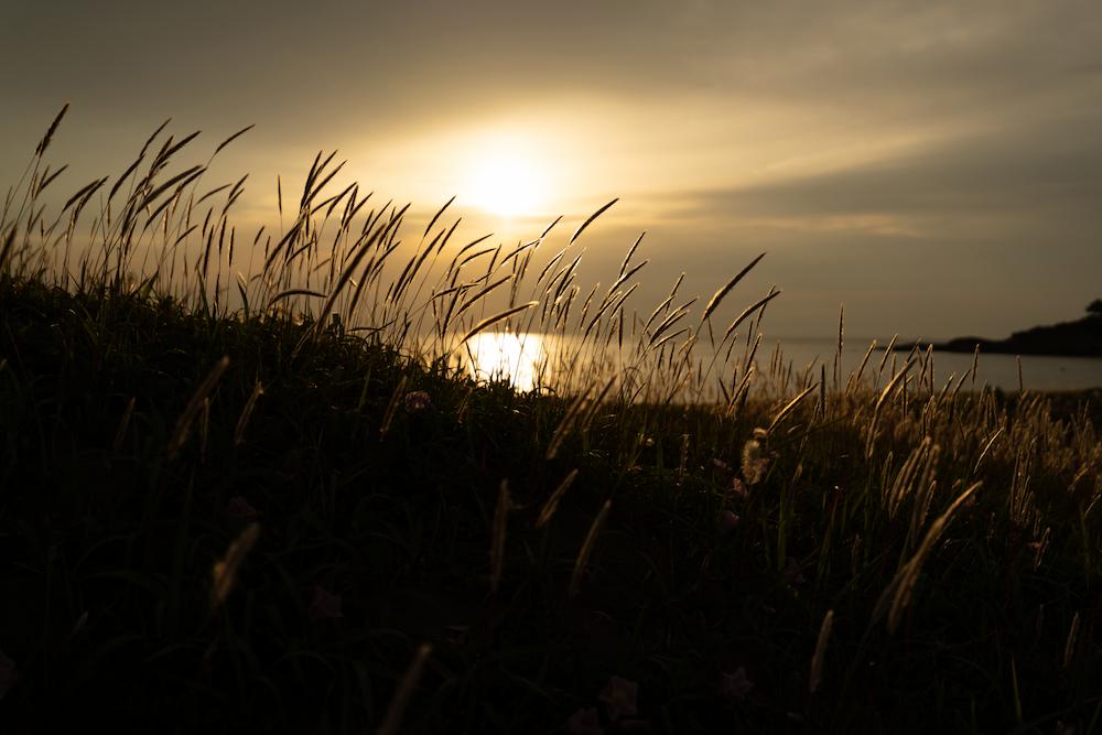 TAMRON 16-30mm F2.8 G2 (型號 A064)　焦距：30mm　光圈：F2.8　快門速度：1/8000秒　ISO：100