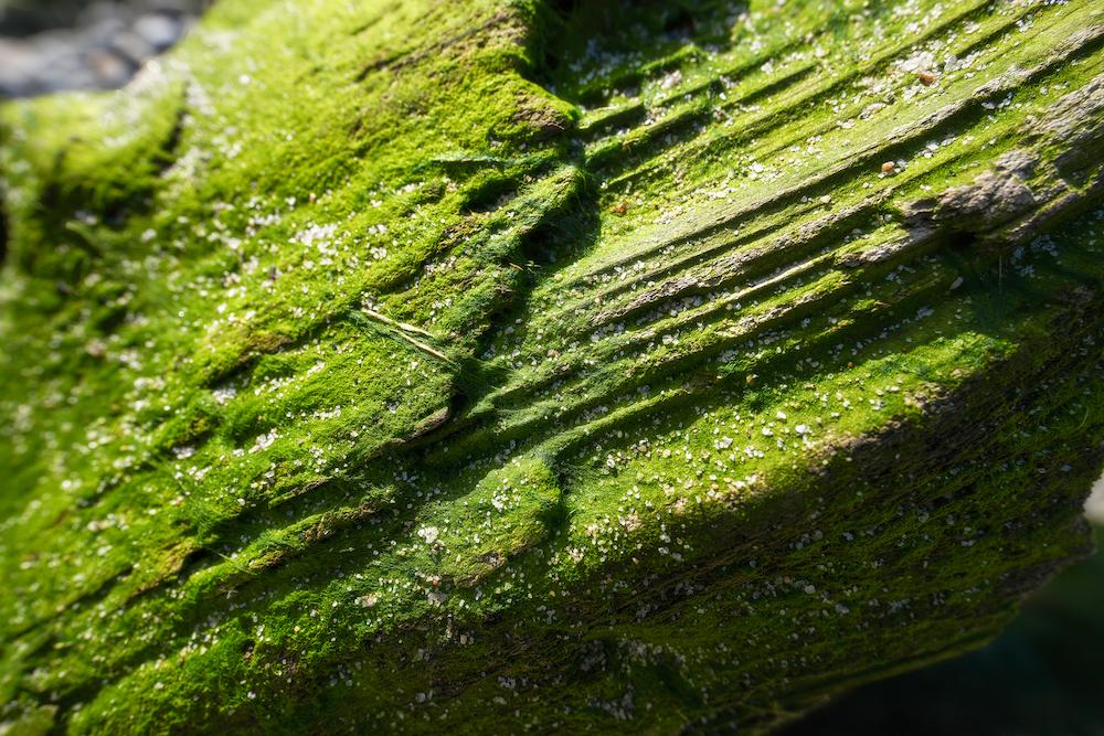 TAMRON 16-30mm F2.8 G2 (型號 A064)　焦距：16mm　光圈：F5.6　快門速度：1/640秒　ISO：100