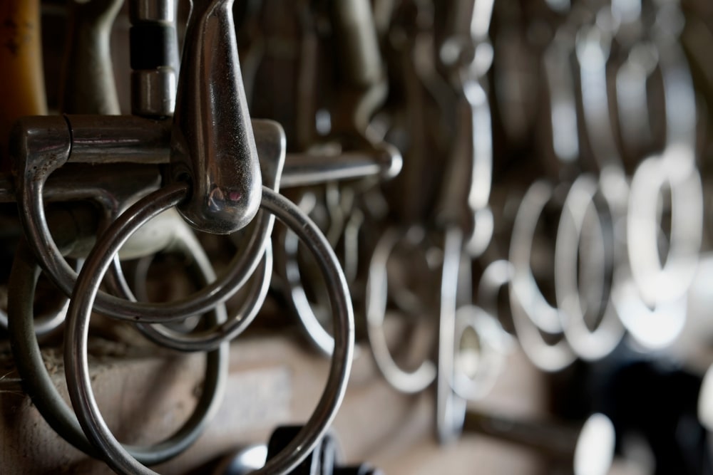 TAMRON 70-180mm F2.8 G2 (型號 A065)　焦距：70mm　光圈：F4.5　快門速度：1/8秒　ISO：100