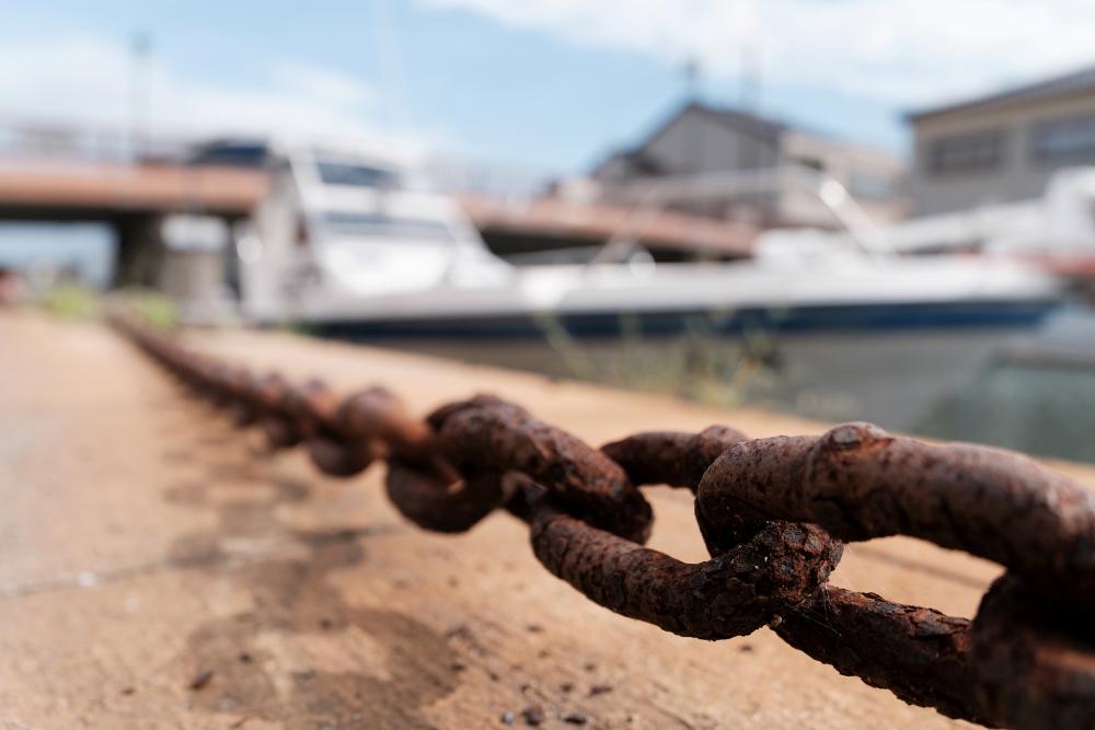 TAMRON全能變焦鏡頭拍攝照片