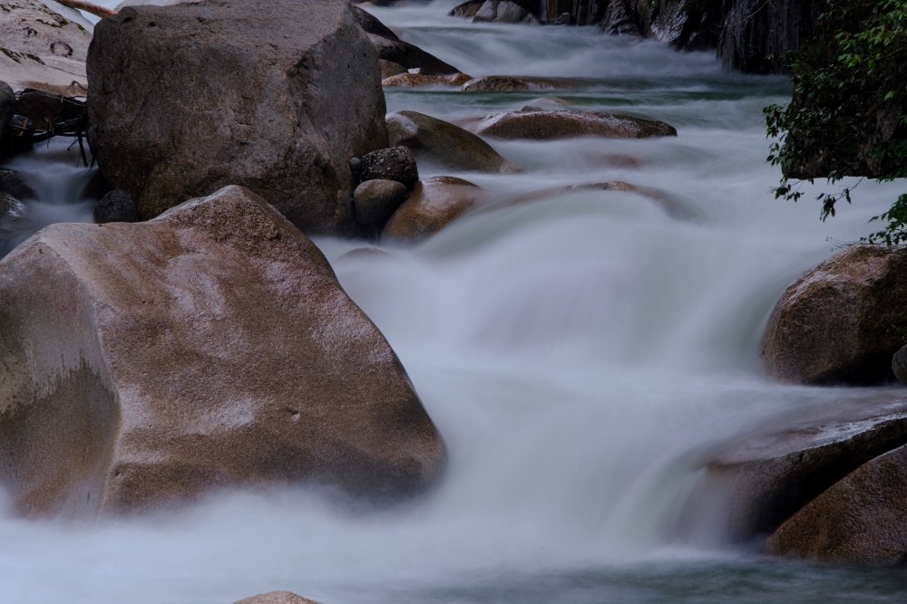 TAMRON全能變焦鏡頭拍攝照片
