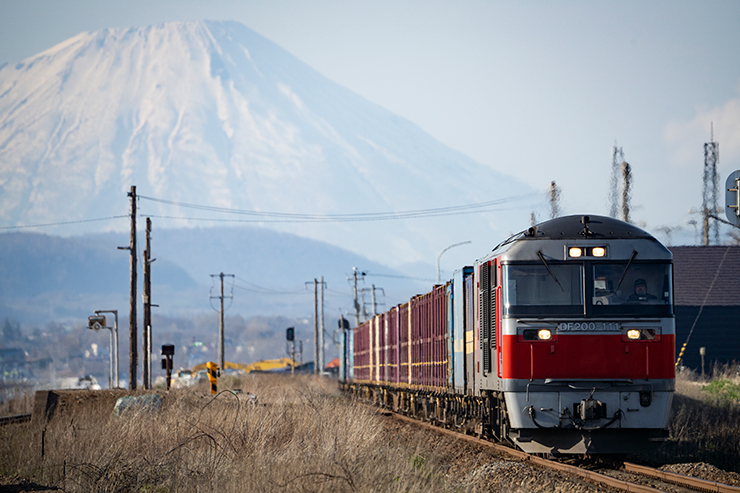 變焦鏡;定焦鏡;微距鏡;廣角鏡;無反相機;單反相機;APS-C鏡頭;Camera;Lens;Canon;Nikon;Sony;fujifilm;emount;zmount;rfmount;