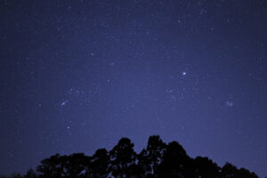 tlu_star