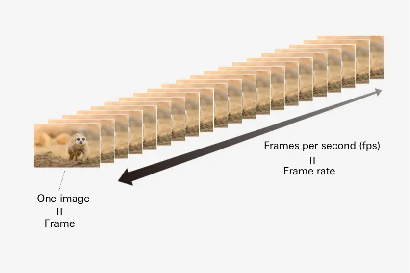 Frame Rate illustration