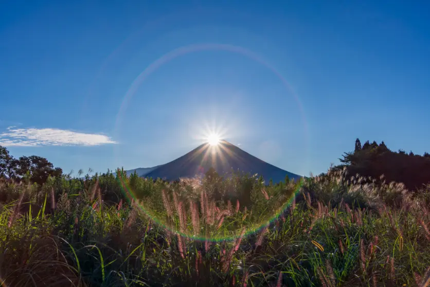 Creative use of flare and ghost in landscape