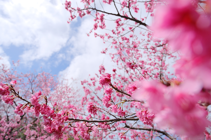 RAW Image Editing sample