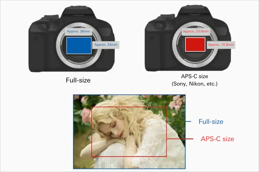 Sensor size comparison