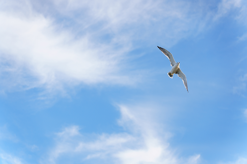 Negative exposure compensation sample