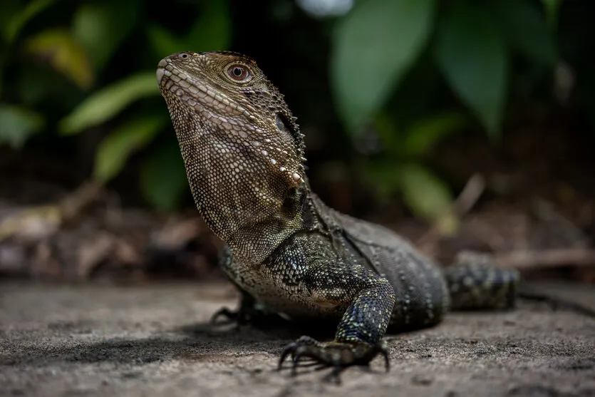 TAMRON 35mm F2.8 F053 lens selection sample