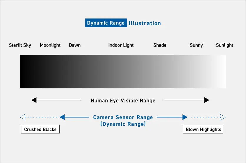 What is dynamic range