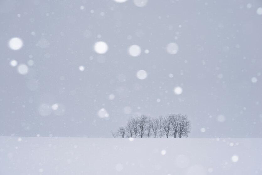 白雪與圓形散景