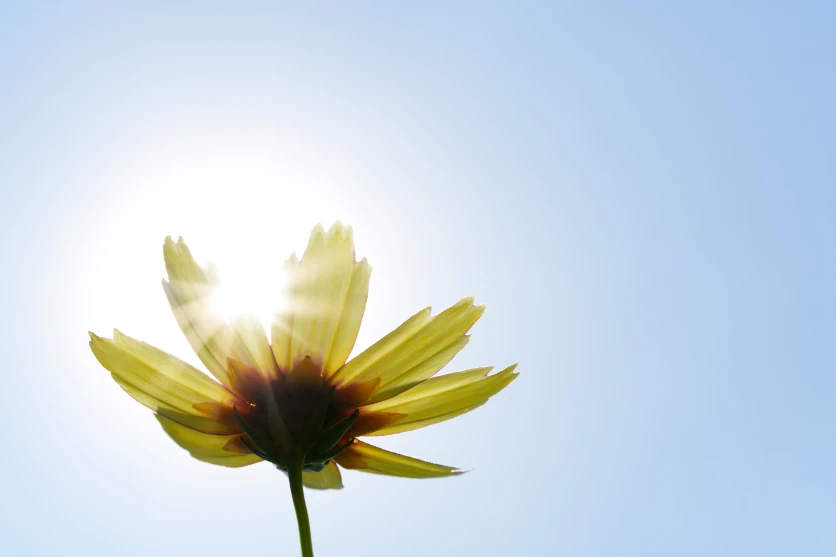 Soft and warm light in backlight