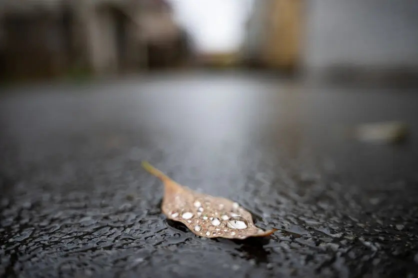 Composition ideas for rain