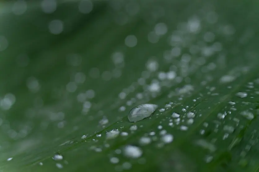 Bokeh effects for rain photography