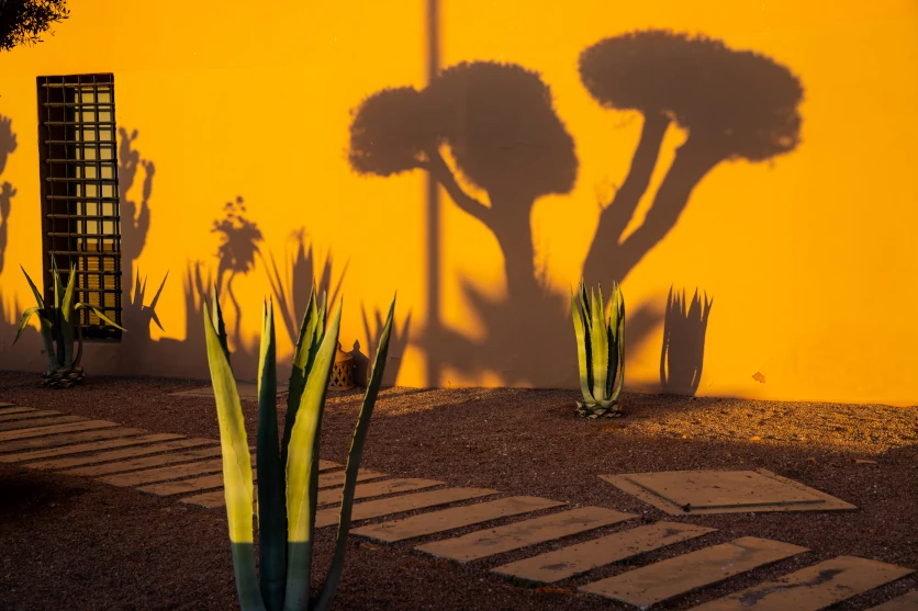 Snap photography during magic hour