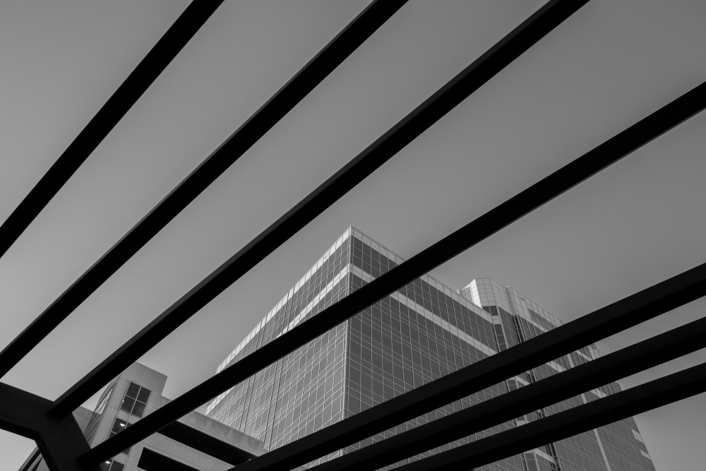 TAMRON廣角變焦鏡頭拍攝照片