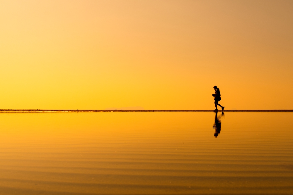 TAMRON標準變焦鏡頭拍攝照片