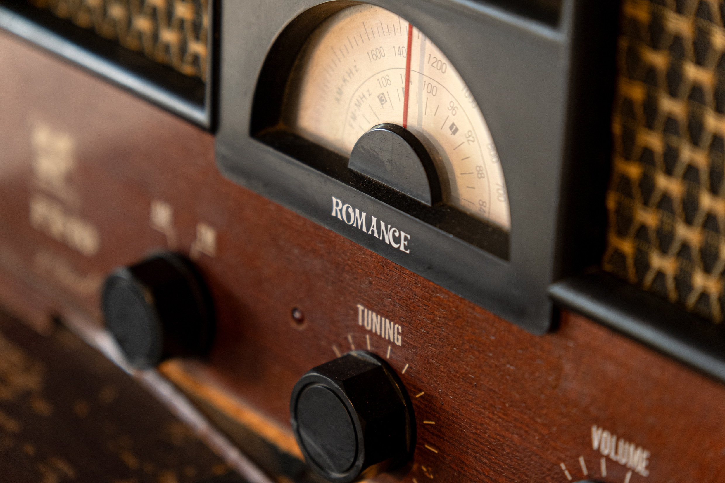 TAMRON標準變焦鏡頭拍攝照片